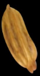 Spice0