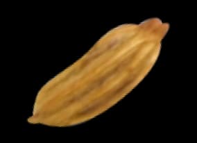 Spice3