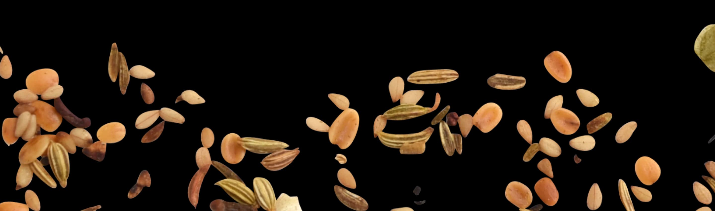 Jak to celé začalo?